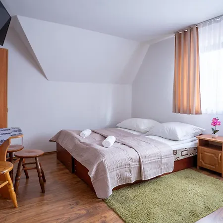 Orle Gniazdo Zakopane Гостевой дом 3*