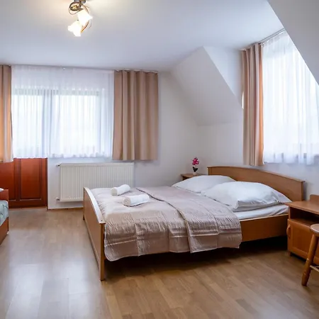 Orle Gniazdo Zakopane Гостевой дом 3*