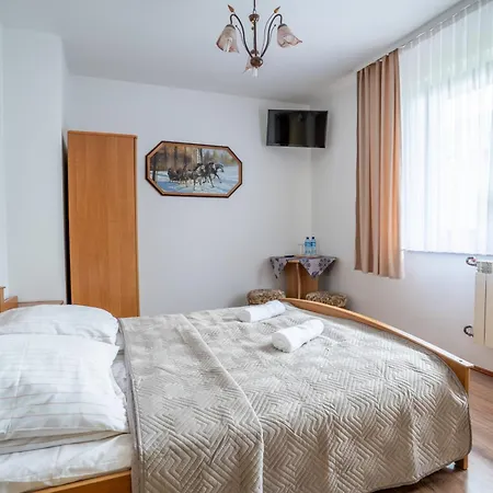 Гостевой дом Orle Gniazdo Zakopane 3*
