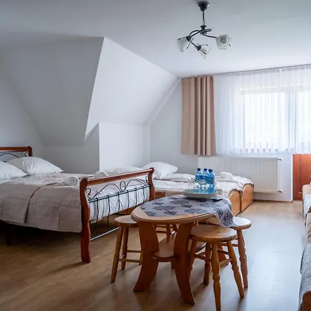 Orle Gniazdo Zakopane Гостевой дом 3*