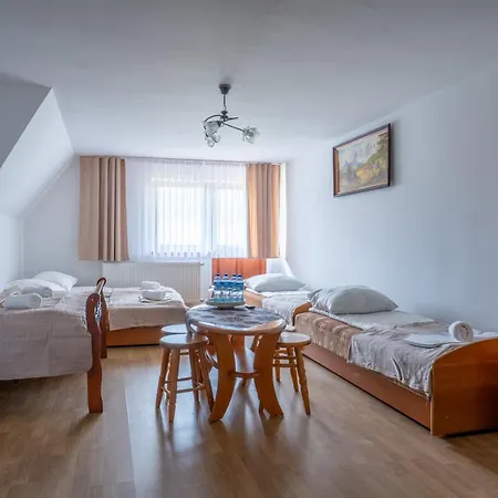 Orle Gniazdo Zakopane Гостевой дом 3*