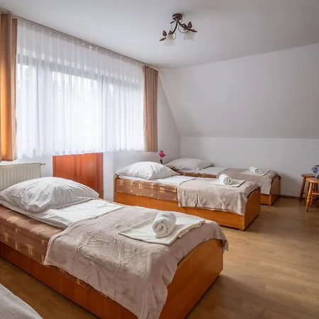 Orle Gniazdo Zakopane Гостевой дом 3*